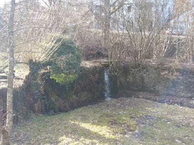 Photos of Haute S&ucirc;re For&ecirc;t D'Anlier Natural Park