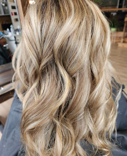 Gillyflower Salon Gallery - United States