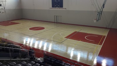 Hasan Fehmi Gökşen Spor Salonu