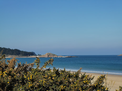 Golf de Fréhel - Sables d'Or Les Pins - Golf et Restaurant - Thumbnail