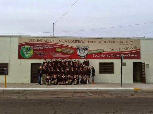 ESCUELA SECUNDARIA TÉCNICA COMERCIAL Profa. Dolores D. de Cuilty