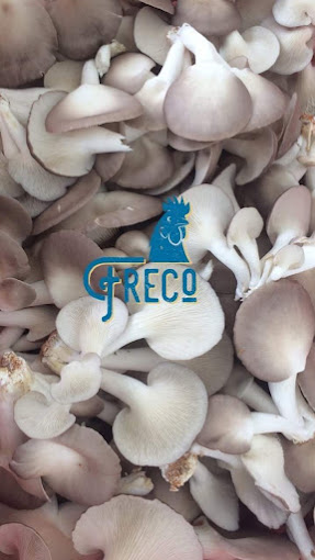 FRECO FARM (CTY TNHH MTV THỰC PHẨM SẠCH AN AN)