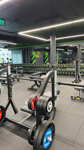 Club Lime Rosebery - Thumbnail