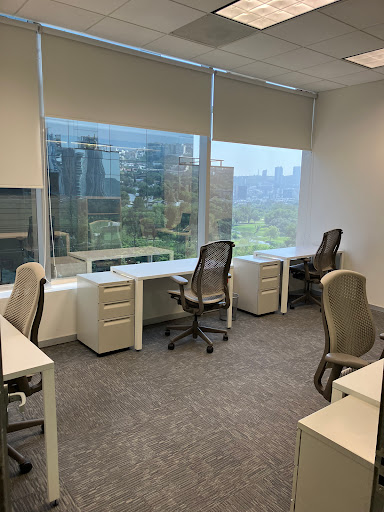 IOS OFFICES Campestre - Thumbnail
