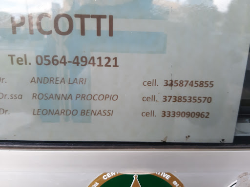 Studio Veterinario Picotti Gallery - Italy