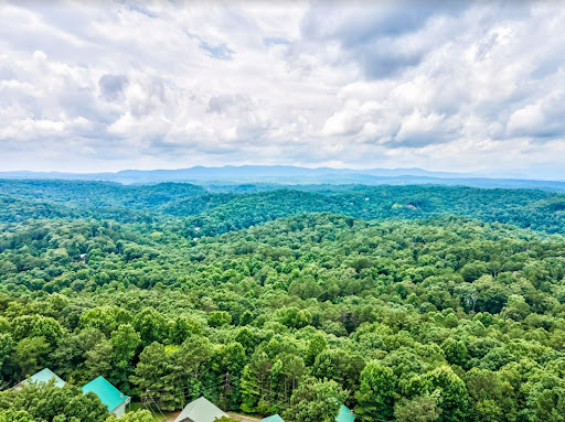 Adina Remax Town & Country - Thumbnail