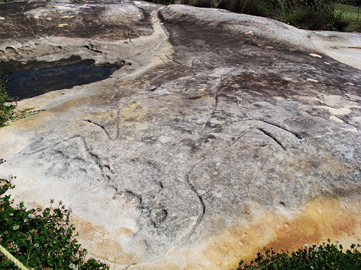 Bondi Beach Aboriginal Rock Art Tours Gallery - Australia