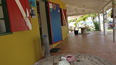 Photos of Relaxed Guided Dives