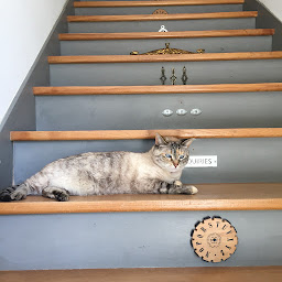 Photo n°50 de Maison Mûrier à Fayssac (Chambre d'hôtes)