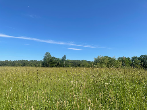 Bass Falls Preserve - Thumbnail