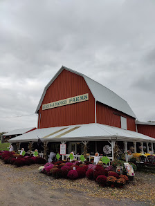 Grisamore Farms 749 Cowan Rd, Locke, NY 13092, United States
