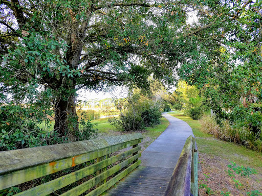 Mitchell Ellington Park - Visual