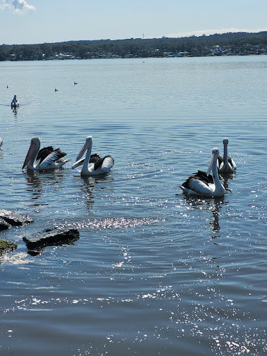 St Georges Basin Boat Ramp - Thumbnail