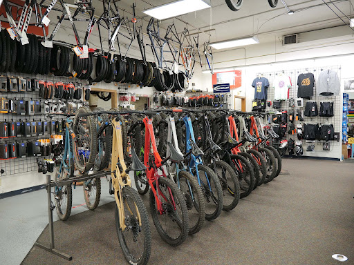 Fat Tire Cycles - Montaño - Thumbnail