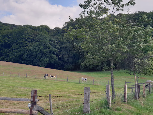 Friedhof Eisbergen, Stadt Porta Westfalica - Thumbnail