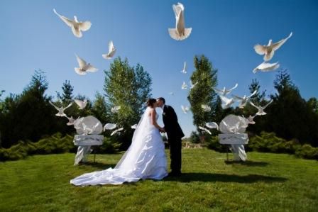 Memorable Moments Dove Release LLC - Thumbnail
