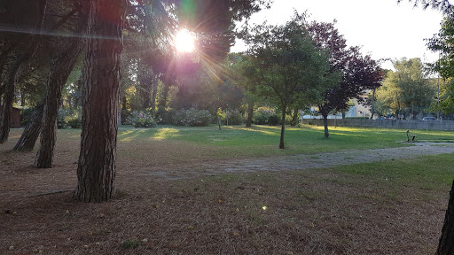 Parco le Conchiglie Gallery - Italy