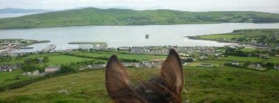 Photos of Dingle Horse Riding