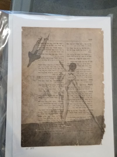 Photos of גלריה צדיק