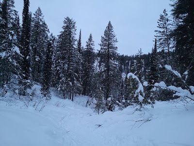 Yellowstone Trail Parking