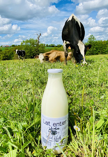 Lait Meuh - Thumbnail