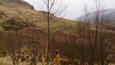 Photos of Uragh Wood