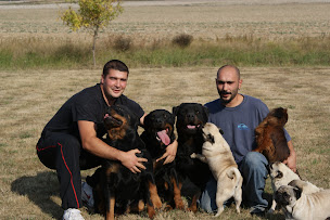 Photo n°32 de domaine de la reverie à Épeigné-sur-Dême (Pension pour chiens)