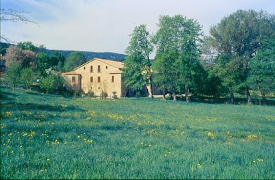 Photos of Torre camigliati