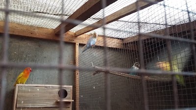 Photos of Brid Shop