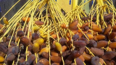 Photos of Israel Private Guided Tours