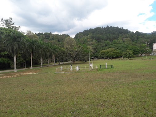 Faculty of Arts (කලා පීඨය), Author: Rajitha Prabath