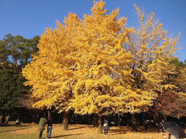 Kiyosumi Garden