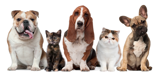 Central Baldwin Veterinary Hospital