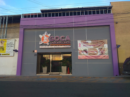 Goca - Visual
