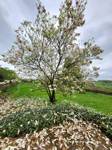 Duftgarten - Visual