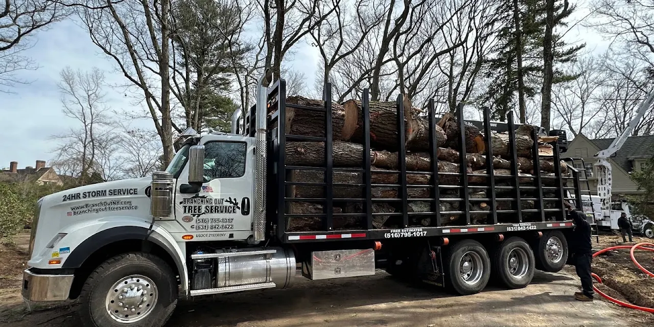 Tree Service Corp.