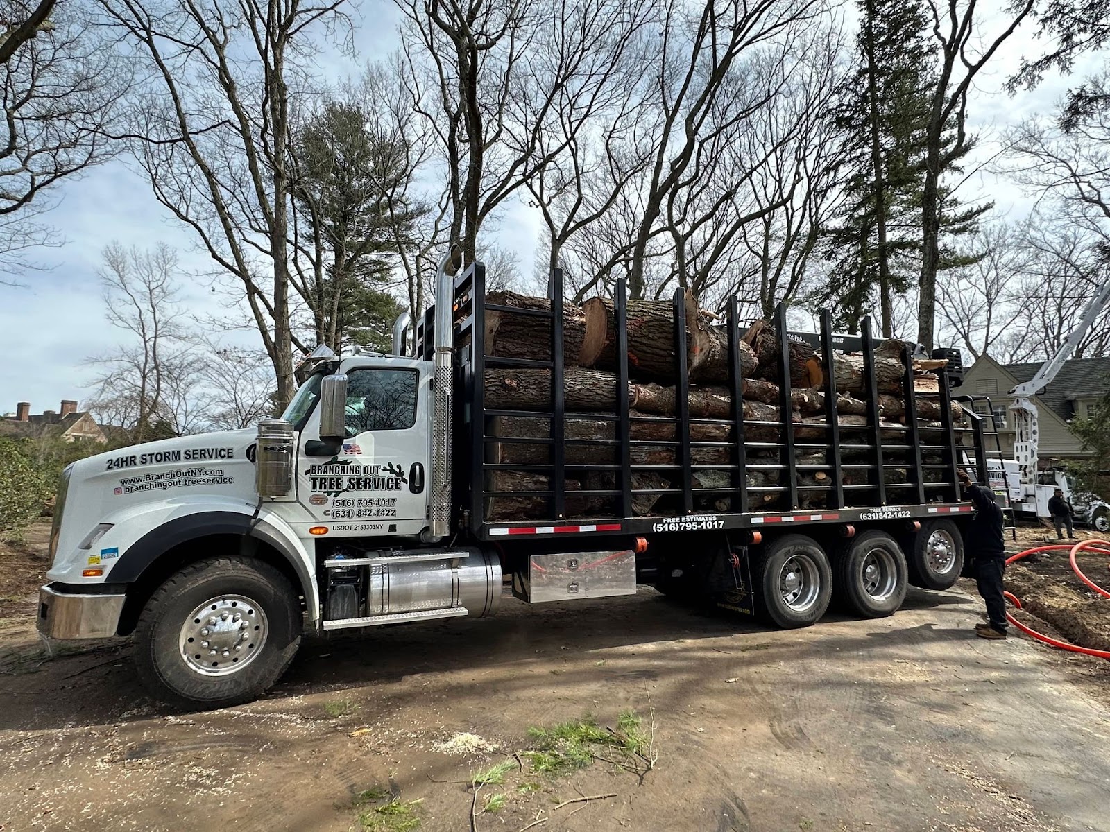 Tree Service Corp.