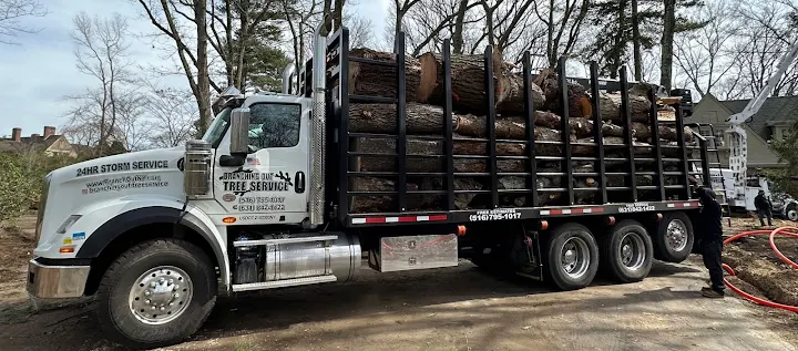 Tree Service Corp.