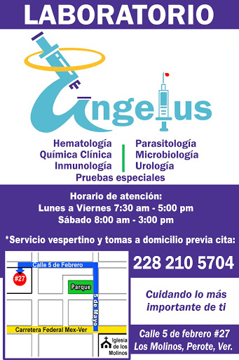 Laboratorio Angelus - Thumbnail