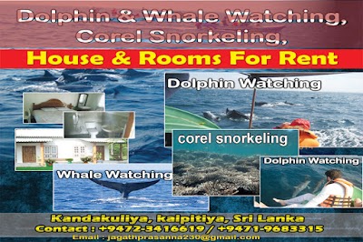 Photos of Nethu Villa