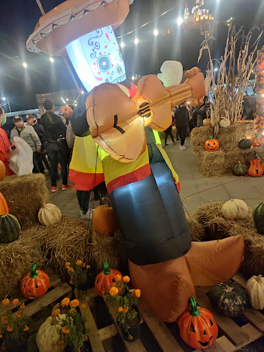 Pumpkin zone - Visual