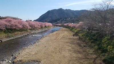 Photos of かわづの里