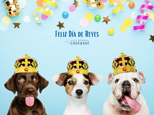 Clínica Veterinaria Costasol