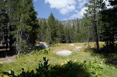 Photos of Little Round Valley Campground