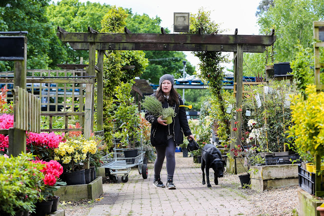 Alexandra Palace Garden Centre - Capital Gardens Ltd - London