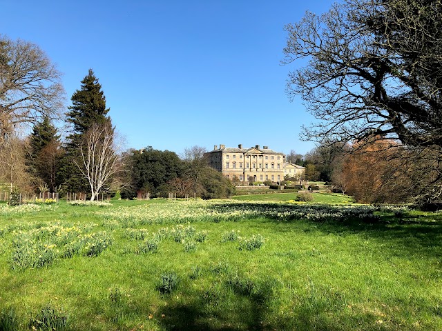 Howick Hall Gardens