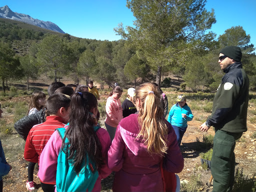 Colegio Público San Juan de Ávila - Thumbnail