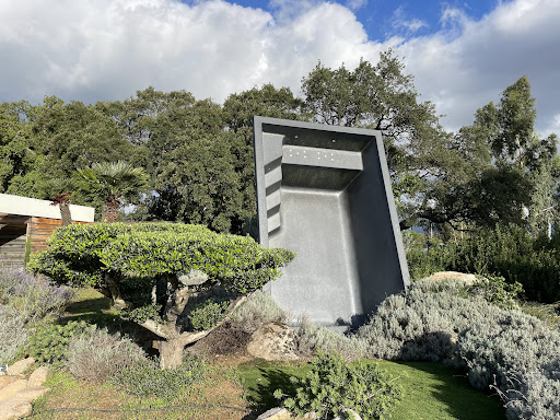 Photo de Poisson Vert