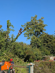 Photo n°1 de Doucet élagage à Courson-les-Carrières (Service d'élagage)