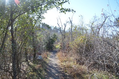 Goat Rock Trail